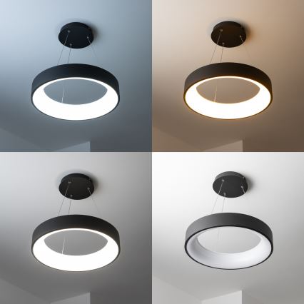 Brilagi - FALCON LED dimmbar pendellampa på kabel LED/80W/230V 3000-6500K Ø 60 cm svart + fjärrkontroll