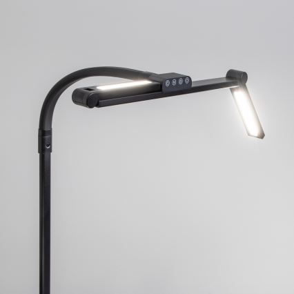 BRILAGI - VARIO beröringsstyrd dimbar skrivbordslampa med klämma LED/24W/230V 3000-6500K CRI 92 svart