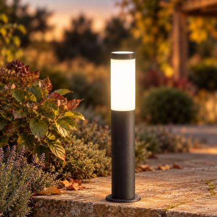 BRILAGI - LED dimbar utomhuslampa ELIA 1xE27/6W/230V 2700-6500K IP44 Wi-Fi 50 cm antracit
