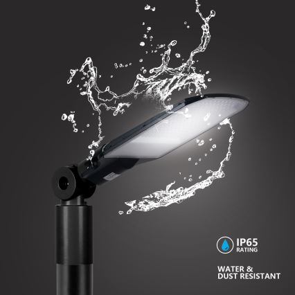 Brilagi - LED-gatlampa URBANLIGHT LED/100W/230V svart IP65