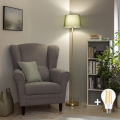 BRILAGI - LED-golvlampa CERIA 1xE27/20W/230V Ø 30 cm grön/guld