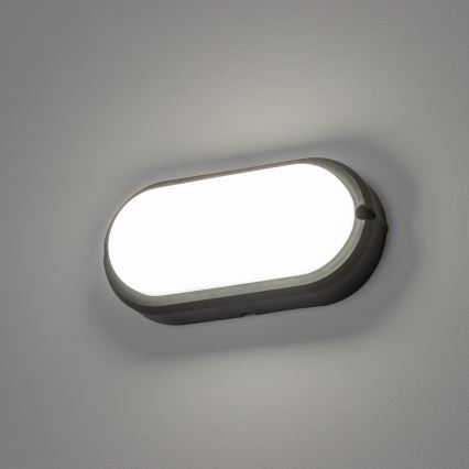 Brilagi - LED Heavy-duty belysning TakIMA LED/12W/230V IP65 svart