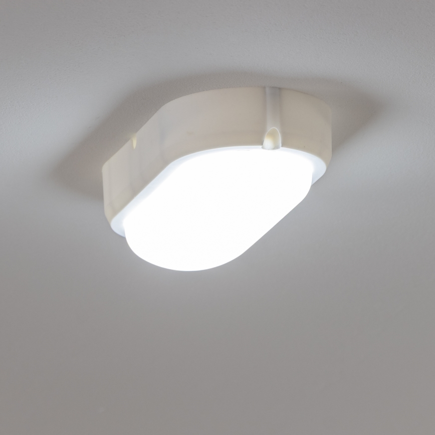 Brilagi - LED Heavy-duty belysning TakIMA LED/12W/230V IP65 vit