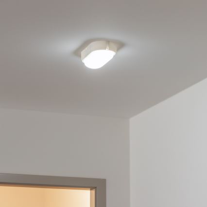 Brilagi - LED Heavy-duty belysning TakIMA LED/12W/230V IP65 vit