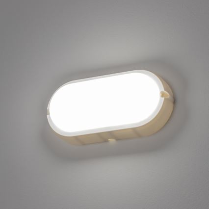 Brilagi - LED Heavy-duty belysning TakIMA LED/12W/230V IP65 vit