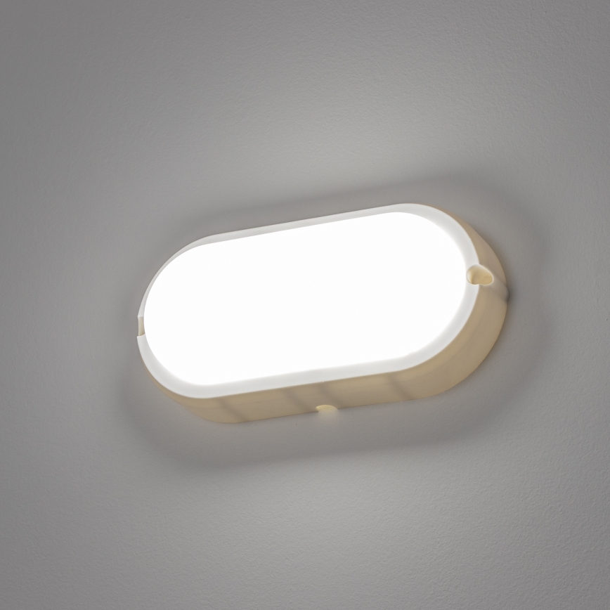 Brilagi - LED Heavy-duty belysning TakIMA LED/12W/230V IP65 vit