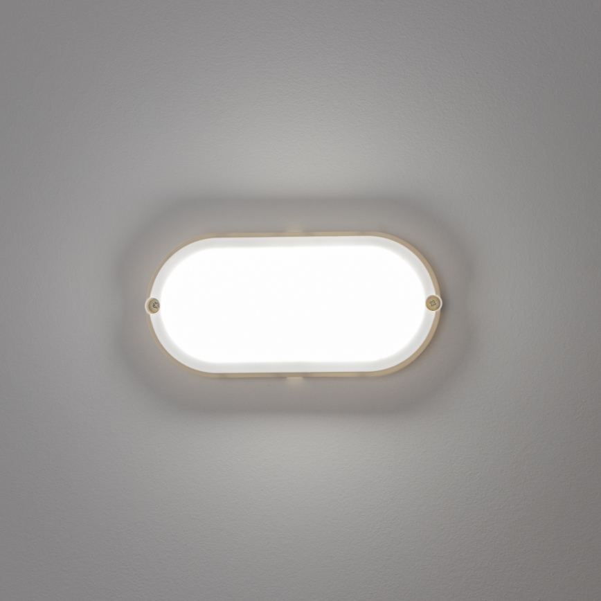 Brilagi - LED Heavy-duty belysning TakIMA LED/12W/230V IP65 vit