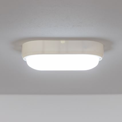 Brilagi - LED Heavy-duty belysning TakIMA LED/12W/230V IP65 vit
