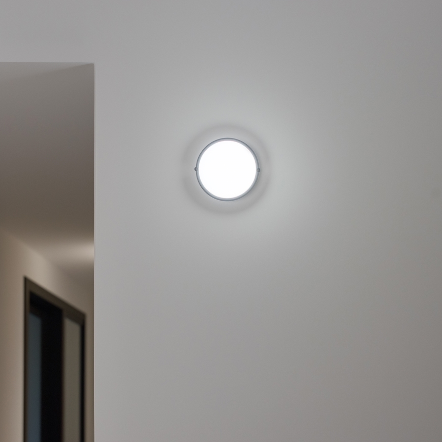 Brilagi - LED Industribelysning tak SIMA LED/12W/230V IP65 svart