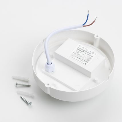 Brilagi - LED Industribelysning tak SIMA LED/12W/230V IP65 vit