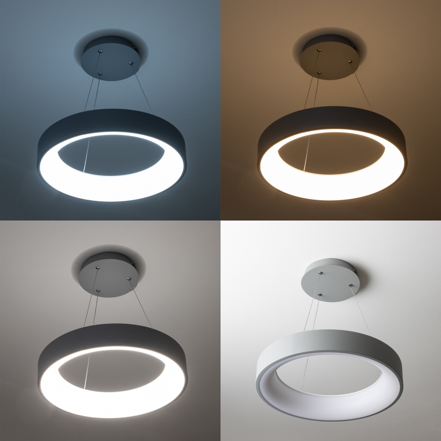 Brilagi - LED ljusreglerad Ljuskrona med upphängningsrem  FALCON LED/40W/230V 3000-6500K grå + fjärrkontroll