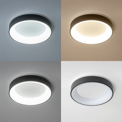 Brilagi - LED ljusreglerad taklampa  FALCON LED/40W/230V 3000-6500K svart  + fjärrkontroll