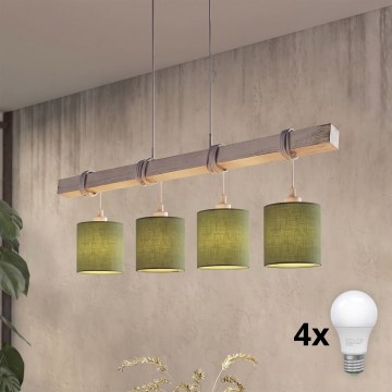 BRILAGI - LED-krona på vajer NUBILA 4xE27/60W/230V grå/grön