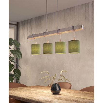 BRILAGI - LED-krona på vajer NUBILA 4xE27/60W/230V grå/grön