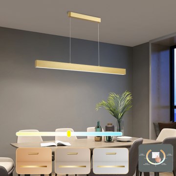 Brilagi - LED-lampa i kabel SLEEKLINE LED/40W/230V 3000/4500/6000K guld