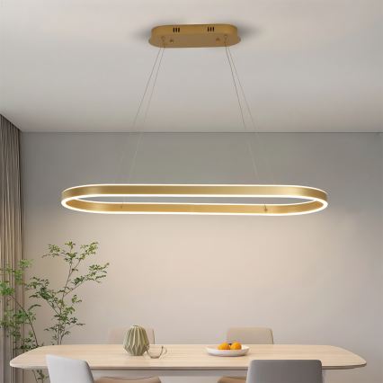 Brilagi - LED-ljuskrona med vajer PONDIE LED/44W/230V 80x30 cm guld