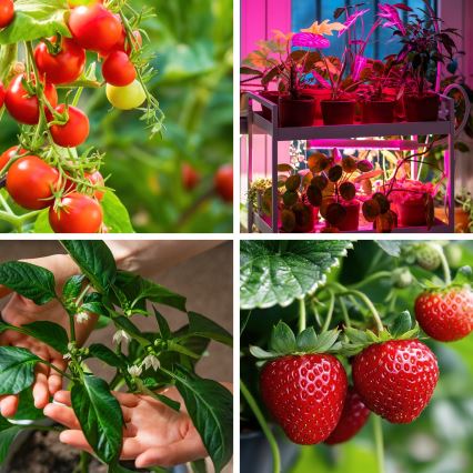 Brilagi - LED Ljusreglerad flexibel bordslampa för att odla växter VITABLOOM 3xLED/10W/230V svart