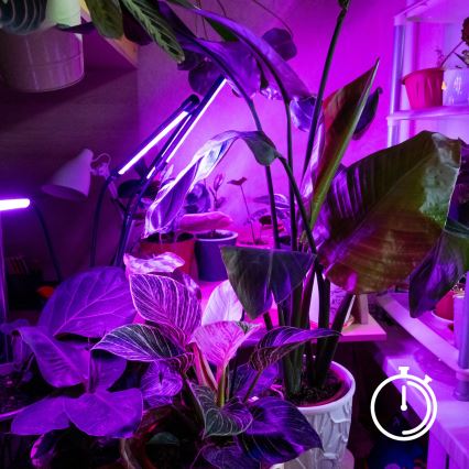 Brilagi - LED Ljusreglerad flexibel bordslampa med klämma för att odla växter VITABLOOM 3xLED/10W/230V svart