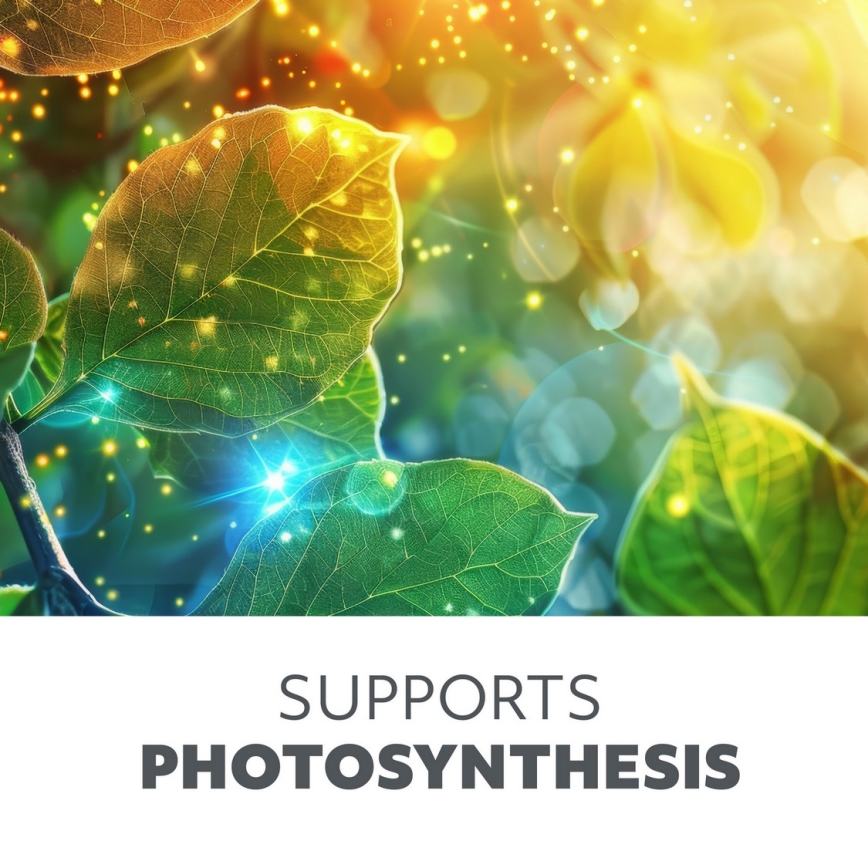 Brilagi - LED Ljusreglerad flexibel bordslampa med klämma för att odla växter VITABLOOM 3xLED/10W/230V svart