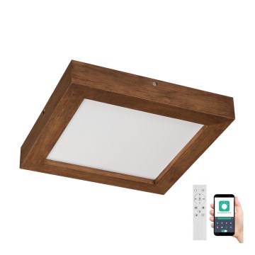 Brilagi - LED ljusreglerad taklampa till badrum WOODY FRAME LED/24W/230V ek körsbär 30x30 cm 3000-6000K IP44 + fjärrkontroll