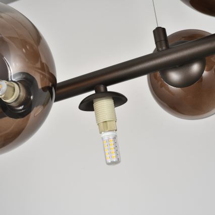Brilagi - LED-pendel på vajer MILLA 10xG9/3W/230V brun/rökbrun