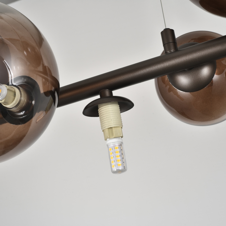 Brilagi - LED-pendel på vajer MILLA 10xG9/3W/230V brun/rökbrun
