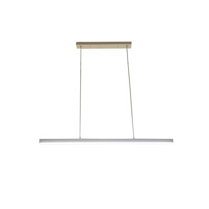 BRILAGI - LED-pendel på vajer PAXIS LED/30W/230V 120 cm vit