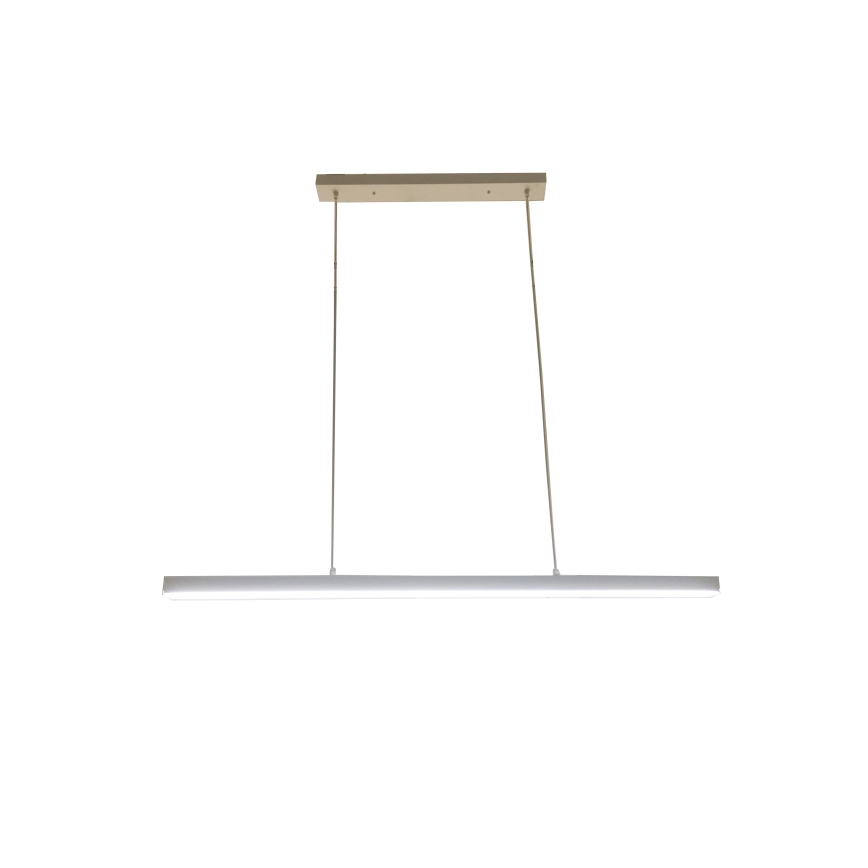 BRILAGI - LED-pendel på vajer PAXIS LED/30W/230V 120 cm vit