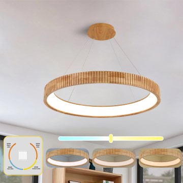 Brilagi - LED pendellampa med vajer FALCON WOOD MODERN LED/60W/230V 3000/4000/6000K Ø 80 cm trä