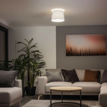 Brilagi - LED plafondlampa CERIA 1xE27/40W/230V Ø30 cm vit
