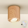 Brilagi - LED RGBW dimbar spotlight MIA 1xGU10/4,8W/230V 3000K 84x80 mm brun + fjärrkontroll