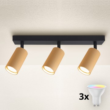 Brilagi - LED RGBW dimbar spotlight SELE MODERN 3xGU10/4,8W/230V 3000K guldig + fjärrkontroll