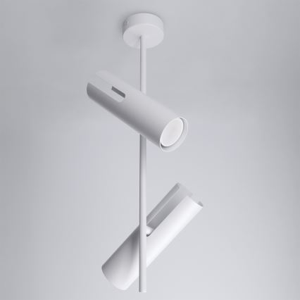 BRILAGI - LED RGBW dimbar taklampa på stång BRANCH 2xGU10/6,5W/230V 2700-6500K vit