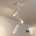 BRILAGI - LED RGBW dimbar taklampa på stång BRANCH 3xGU10/6,5W/230V 2700-6500K vit