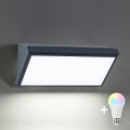 Brilagi - LED RGBW dimbar utomhus väggarmatur TRIANGLE 1xE27/9W/230V 2700-6500K IP65 antracit