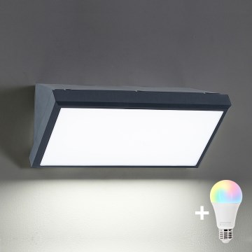 Brilagi - LED RGBW dimbar utomhus väggarmatur TRIANGLE 1xE27/9W/230V 2700-6500K IP65 antracit