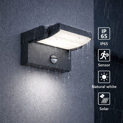 Brilagi - LED solcellsvägglampa med rörelse- och skymningssensor ANKLE LED/10W/3,7V 3000 mAh 4000K IP65 antracit