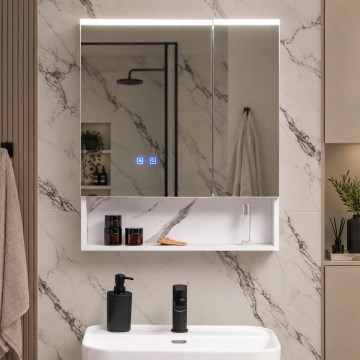 BRILAGI - LED spegelskåp för badrum med inbyggd belysning TRABIA DOUBLE 60x70 cm