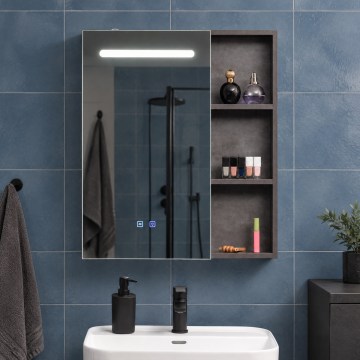BRILAGI - LED-spegelskåp för badrum med integrerad belysning TRABIA SINGLE 60x70 cm