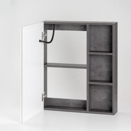 BRILAGI - LED-spegelskåp för badrum med integrerad belysning TRABIA SINGLE 60x70 cm