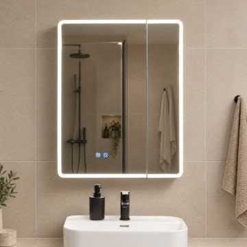 BRILAGI - LED-spegelskåp för badrummet med inbyggd belysning BRONTE DOUBLE 60x75 cm