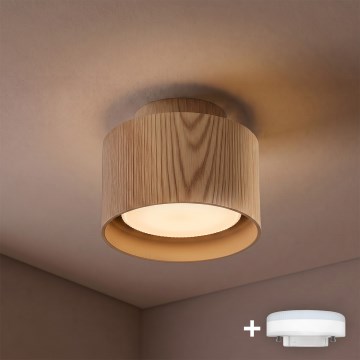 BRILAGI - LED-spot BACKLIT 1xGX53/15W/230V + LED/3W Ø 10 cm ekdekor