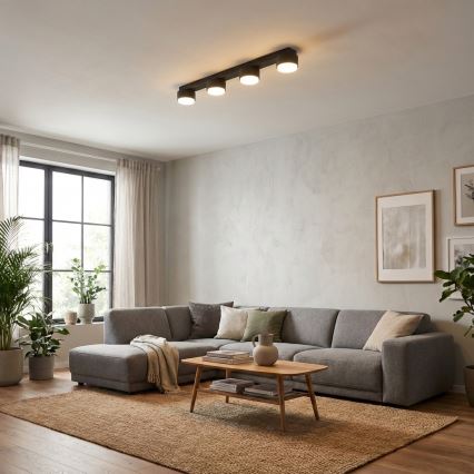 Brilagi - LED-spotarmatur MONO 4xGX53/13W/230V svart