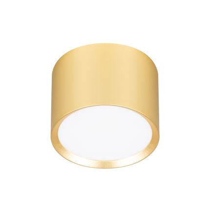 BRILAGI - LED Spotarmatur SMOOTH 1xGX53/15W/230V 60x82 mm guld