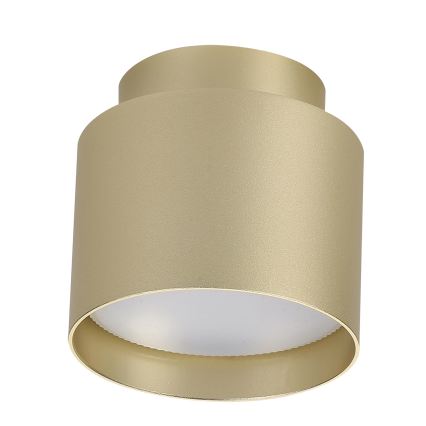 BRILAGI - LED-spotlampa BACKLIT 1xGX53/15W/230V + LED/3W Ø 8 cm guld
