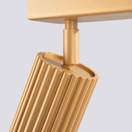 Brilagi - LED-spotlampa CRESTO 3xGU10/10W/230V guldig