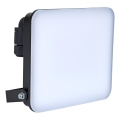 BRILAGI - LED-strålkastare ELARA PRO LED/50W/230V IP65