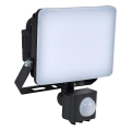 BRILAGI - LED-strålkastare med sensor ELARA PRO LED/10W/230V IP65