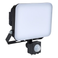 BRILAGI - LED-strålkastare med sensor ELARA PRO LED/30W/230V IP65