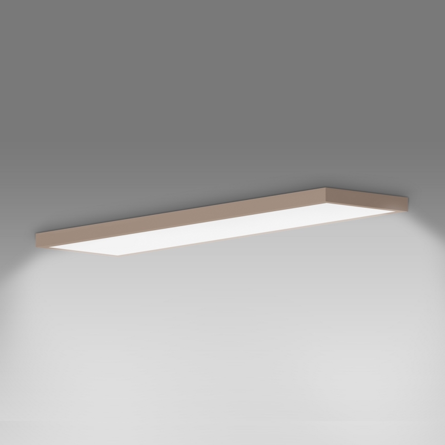 Brilagi - LED takarmatur för badrum FRAME LED/50W/230V 120x30 cm IP44 beige